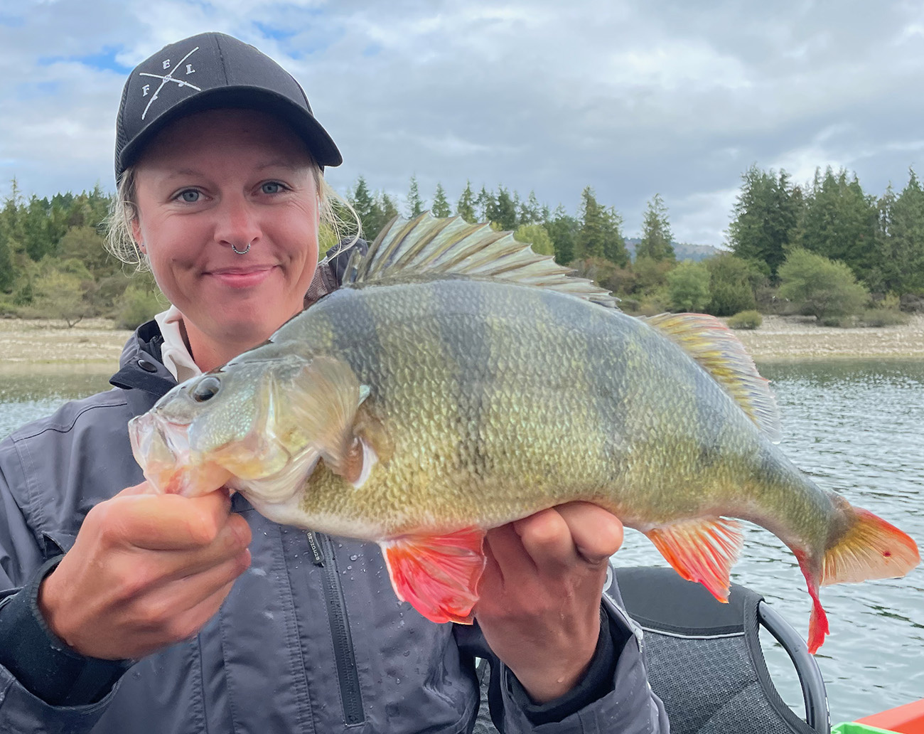 Geecrack Boabab Hog EX